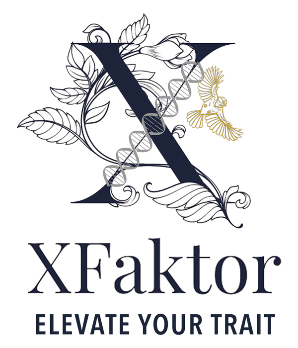 Xfaktor Products 